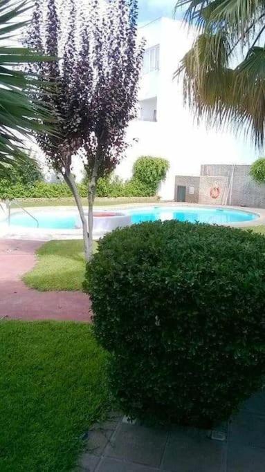 Apartamento Echando Anclas Barbate Kültér fotó